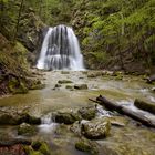 Frühjahrsstimmung am Josefsthaler Wasserfall