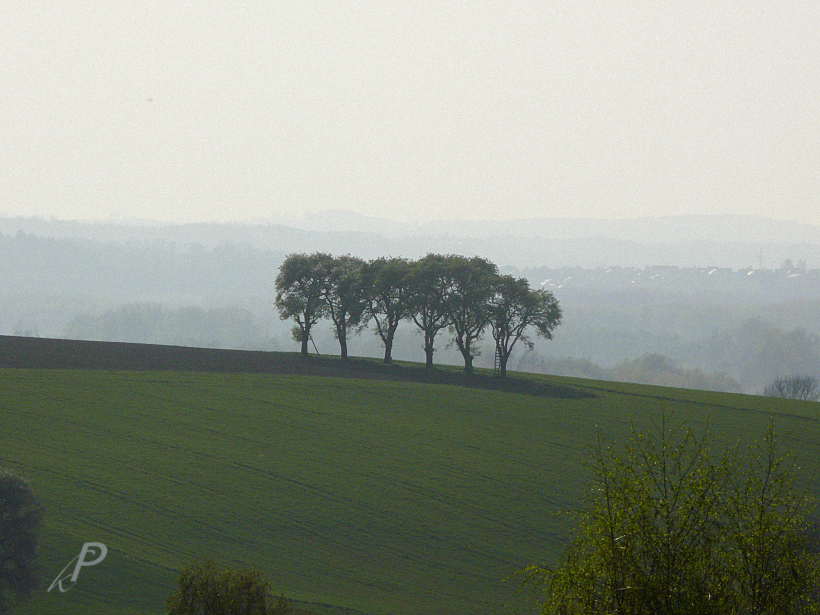 Frühjahrsstimmung