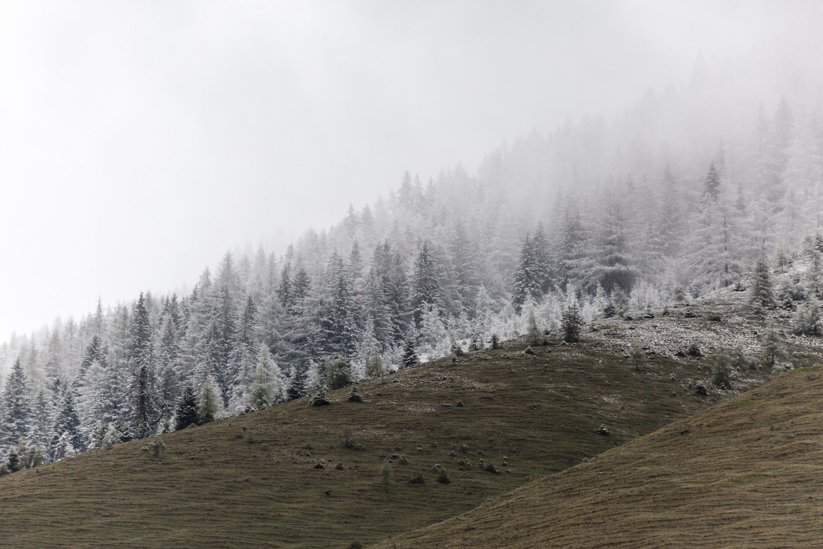 Frühjahrswanderung zwischen Raureif und Nebel