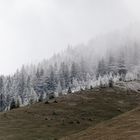 Frühjahrswanderung zwischen Raureif und Nebel