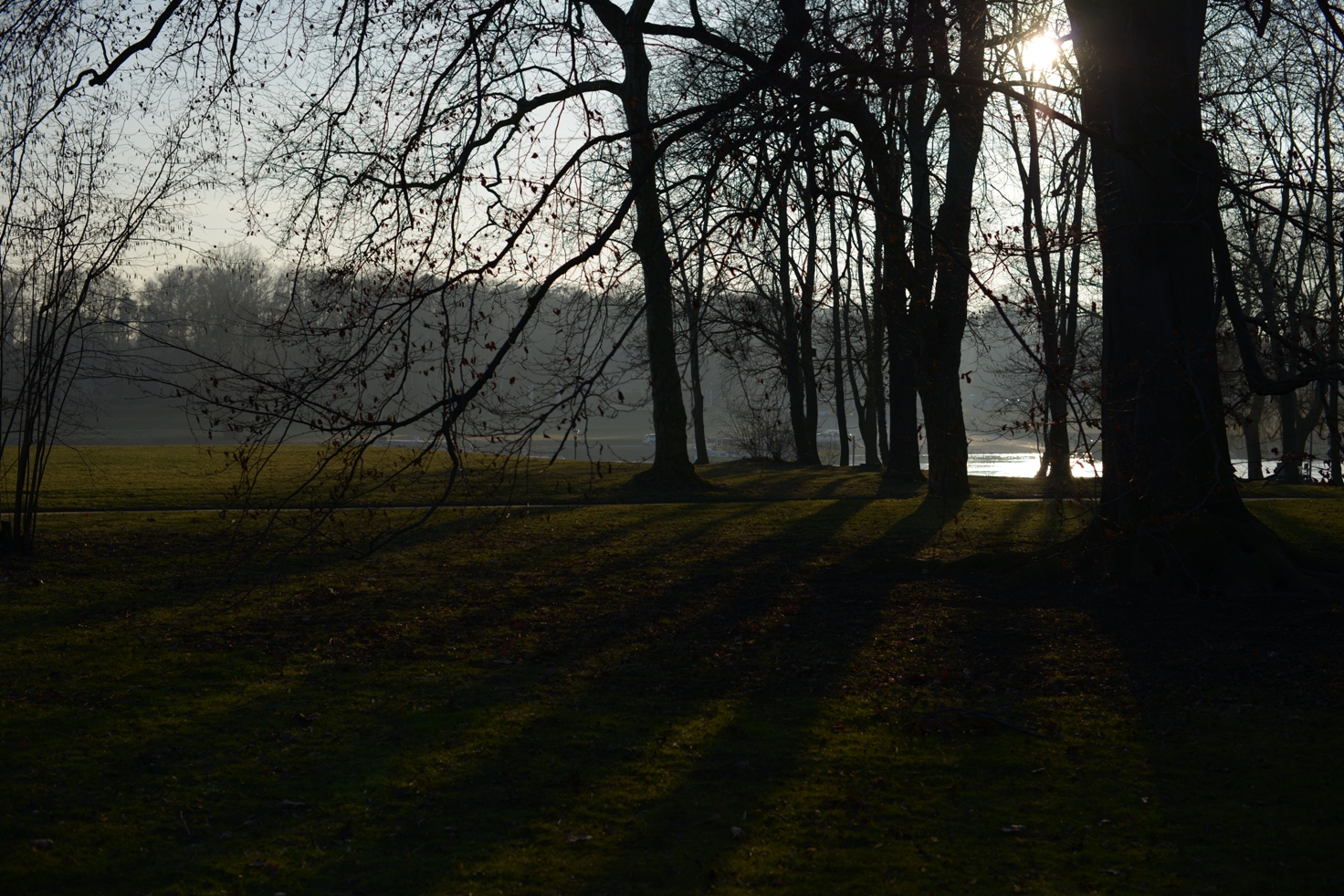 Frühligstag im Winter 2015