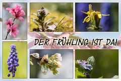 Frühling