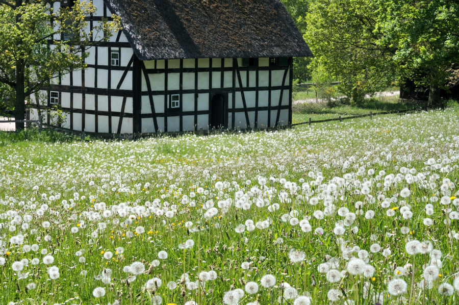 Frühling