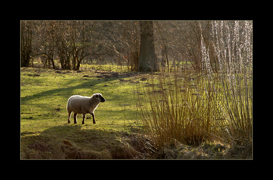 Frühling 01