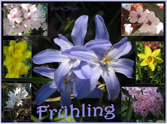 Frühling