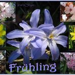 Frühling