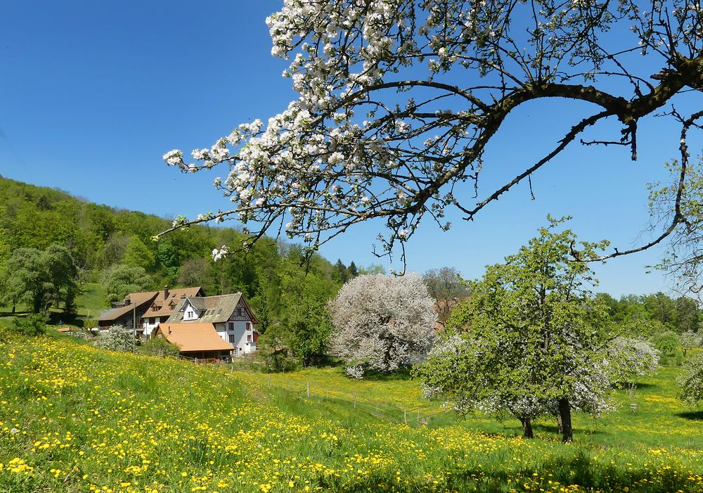 Frühling