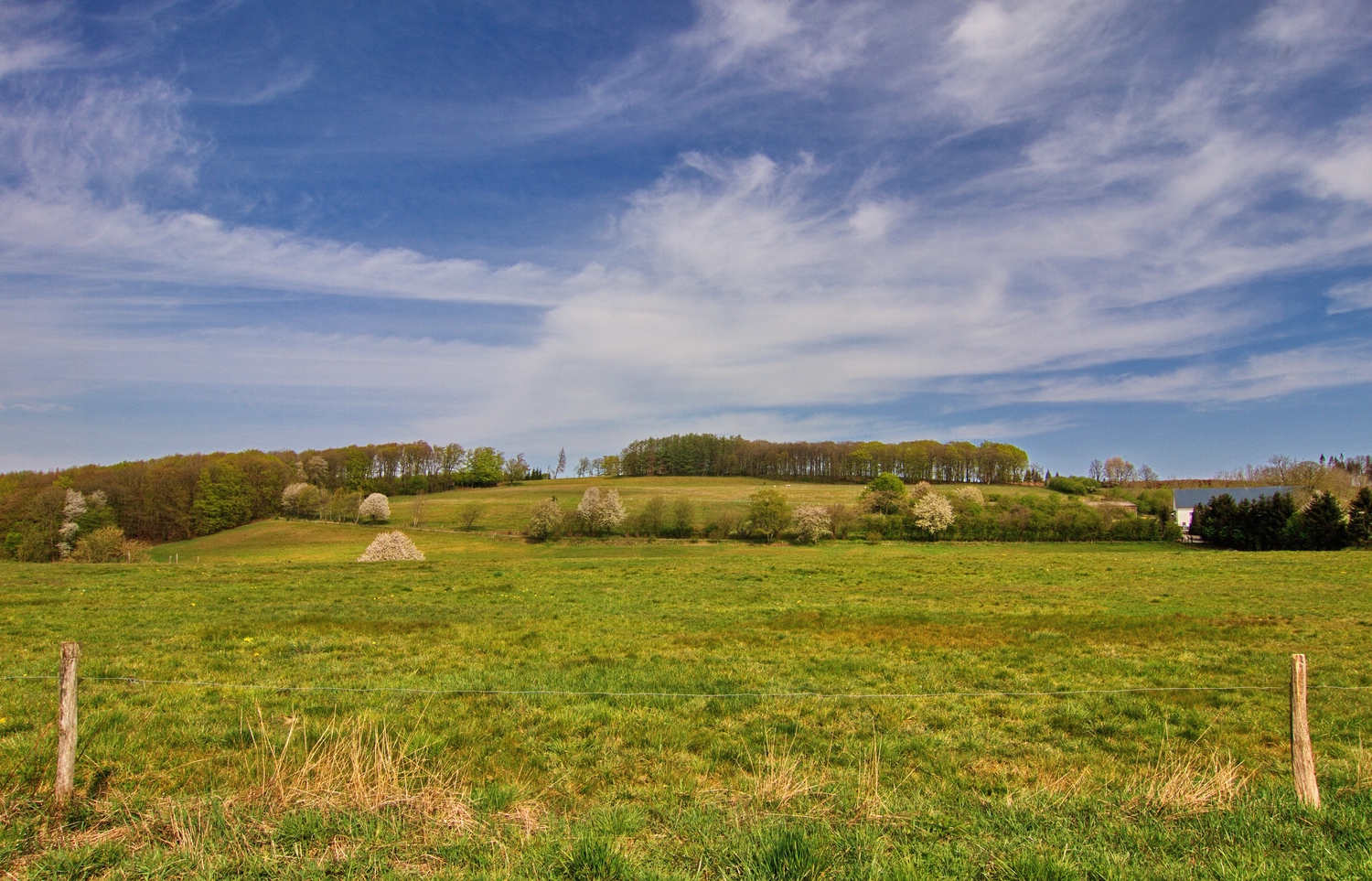 Frühling