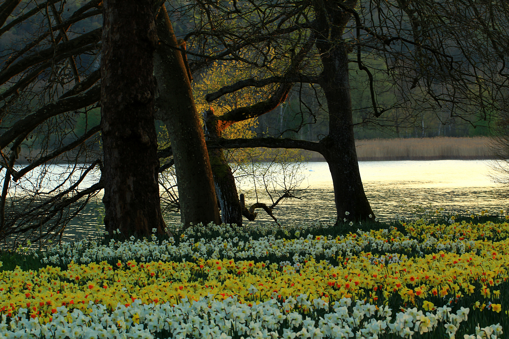 Frühling