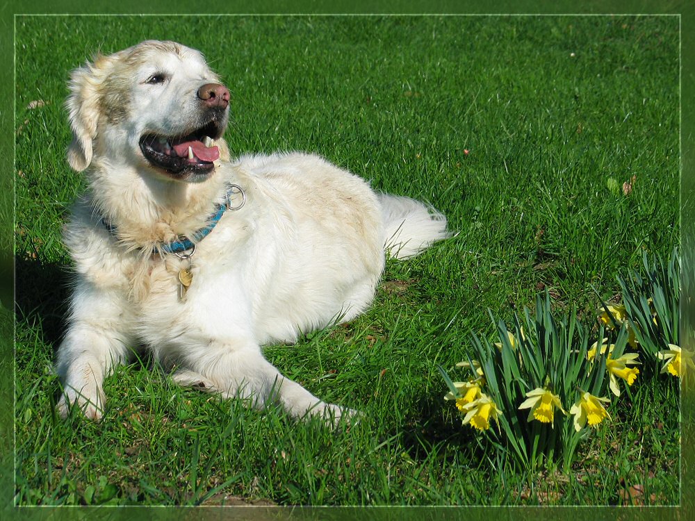 Frühling