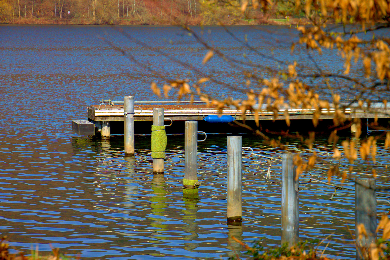 Frühling