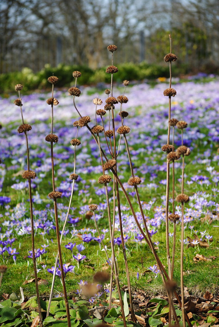 Frühling ...