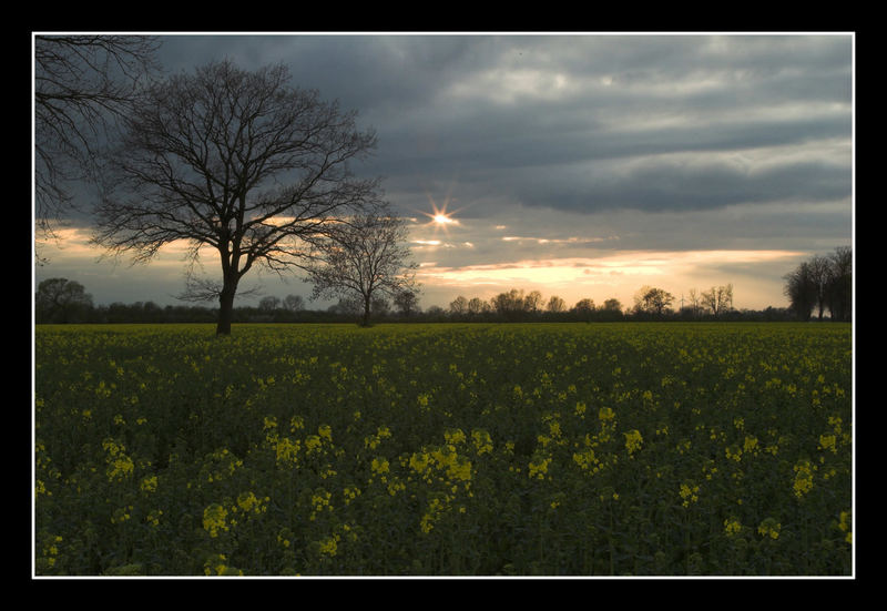 Frühling