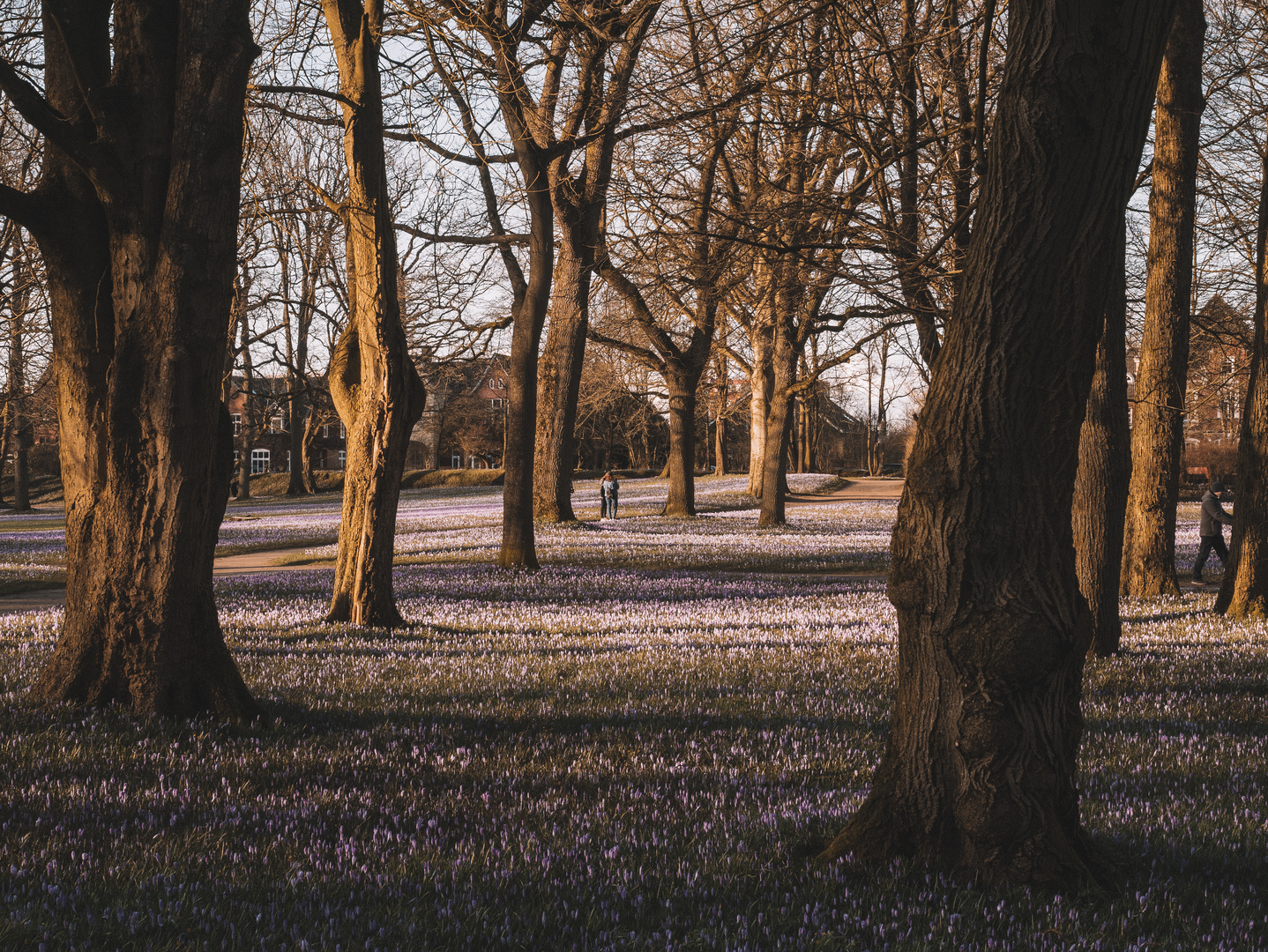 Frühling