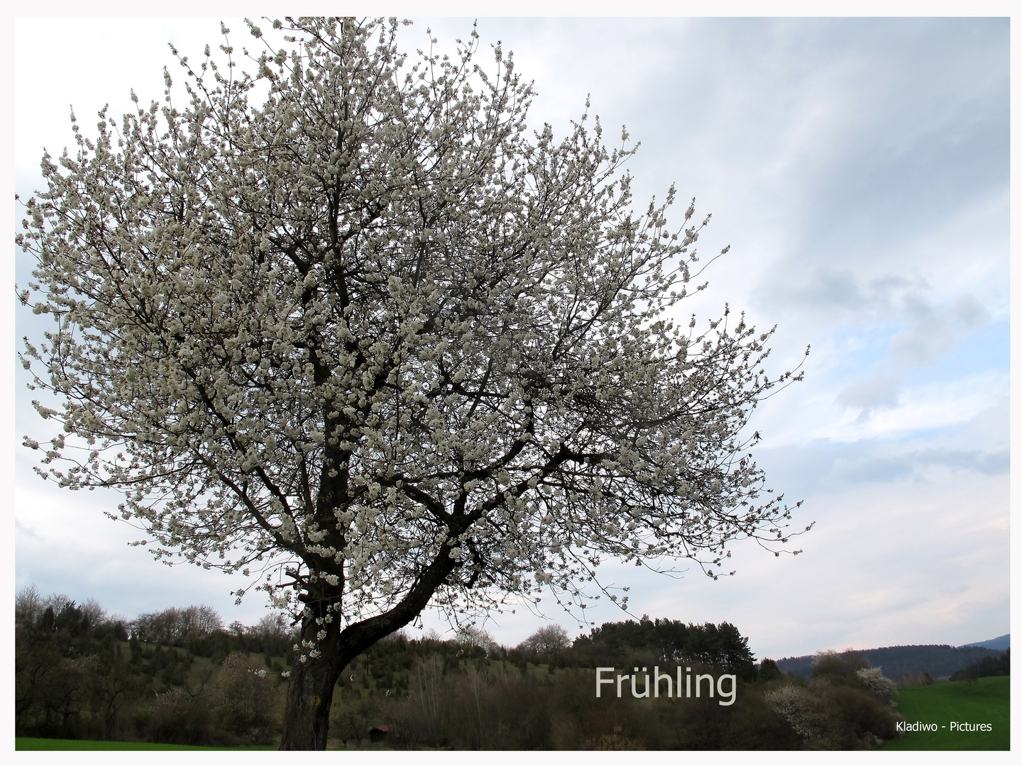 Frühling 07