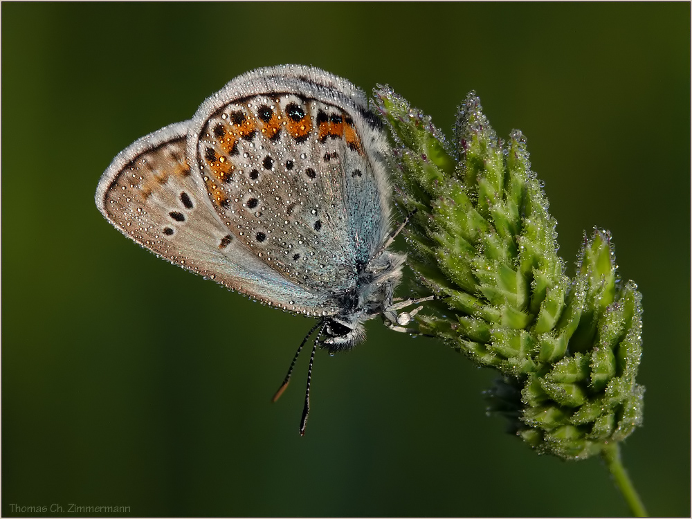 Frühling 07