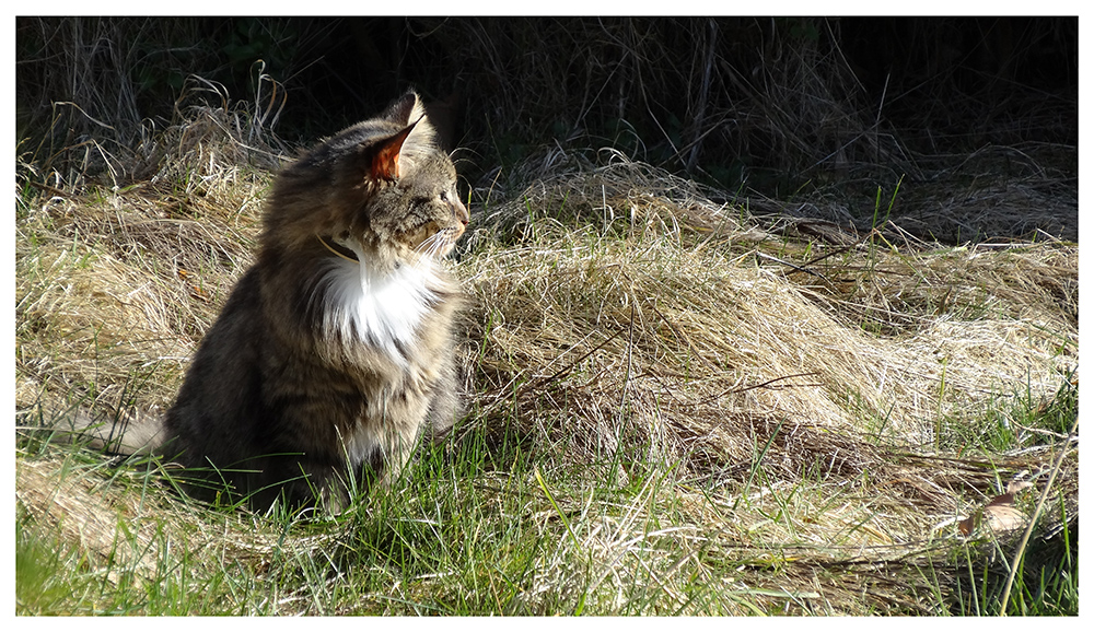 Frühling