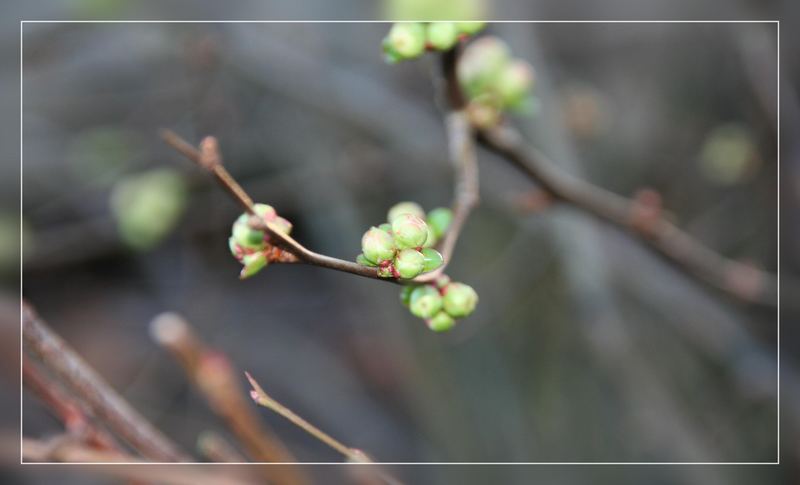 Frühling