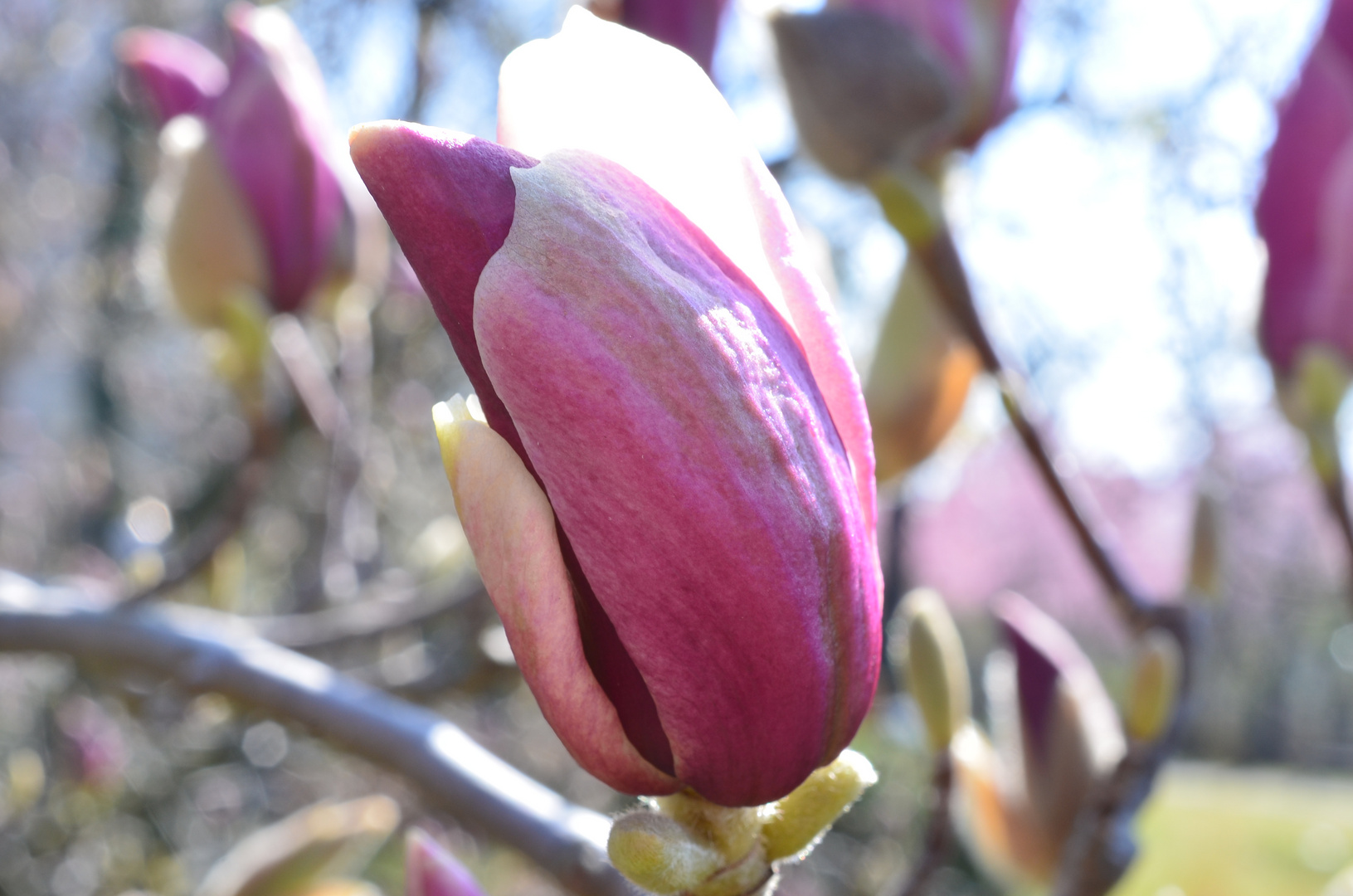 Frühling