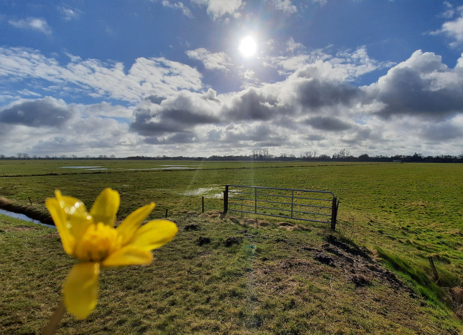 Frühling