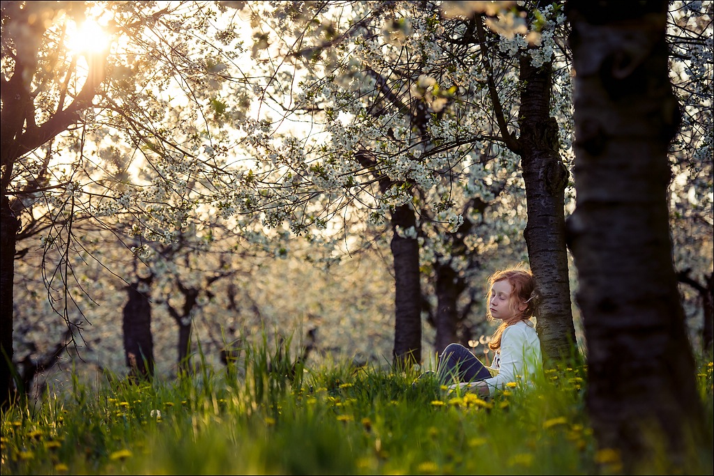 ...Frühling...