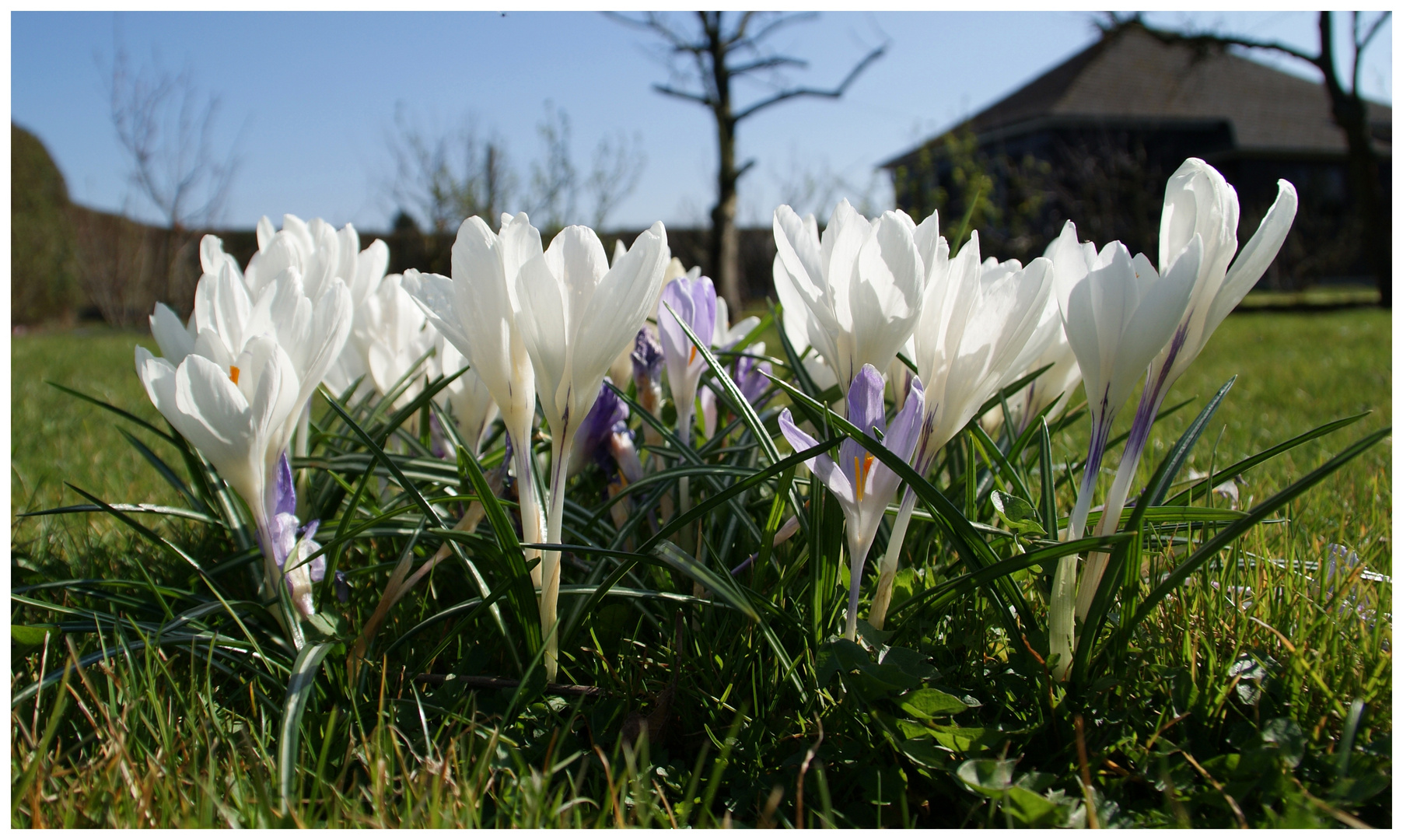 Frühling