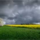 Frühling