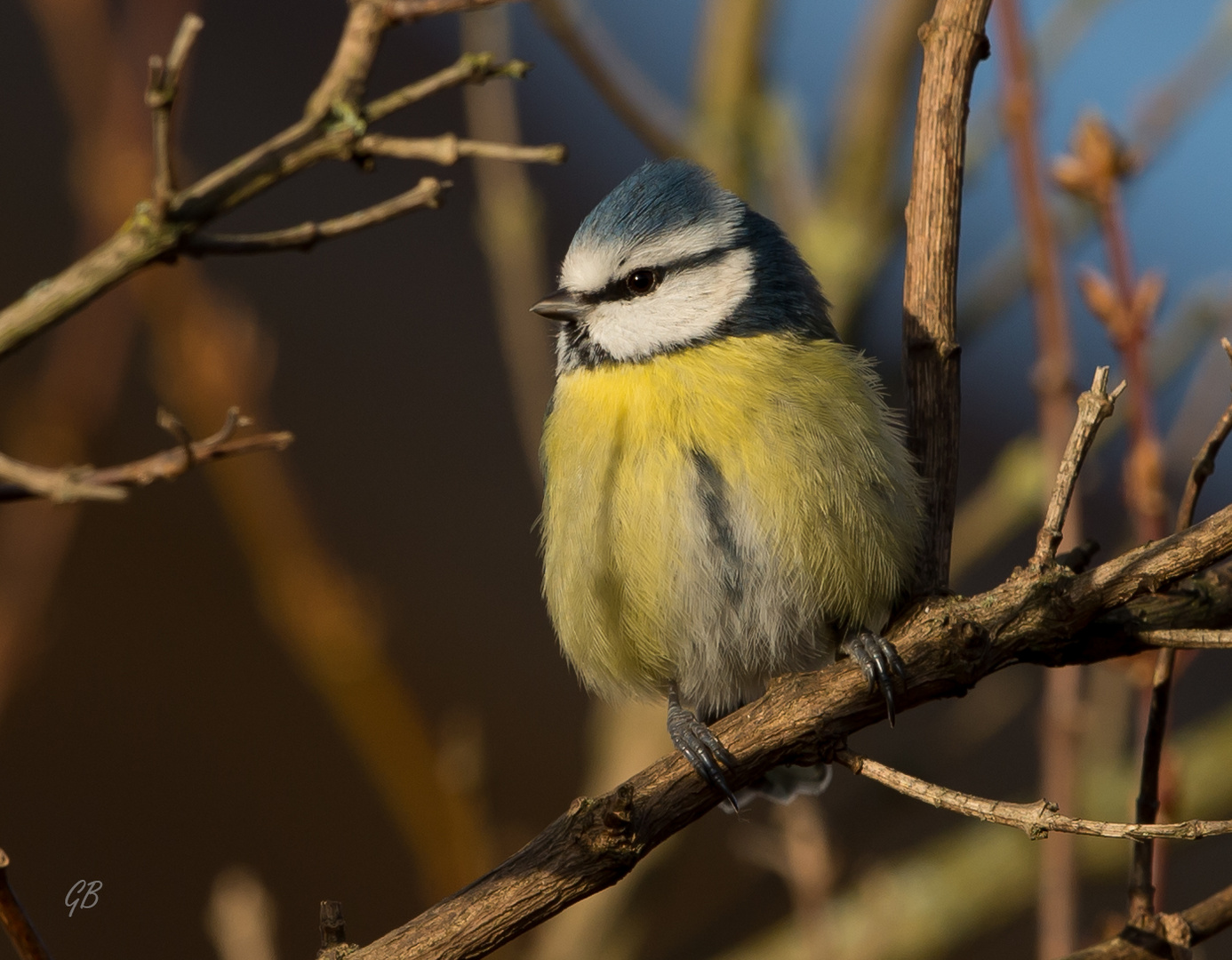 Frühling?