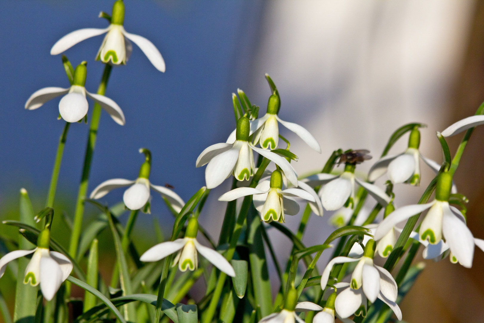 Frühling...