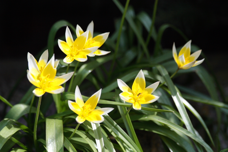 Frühling