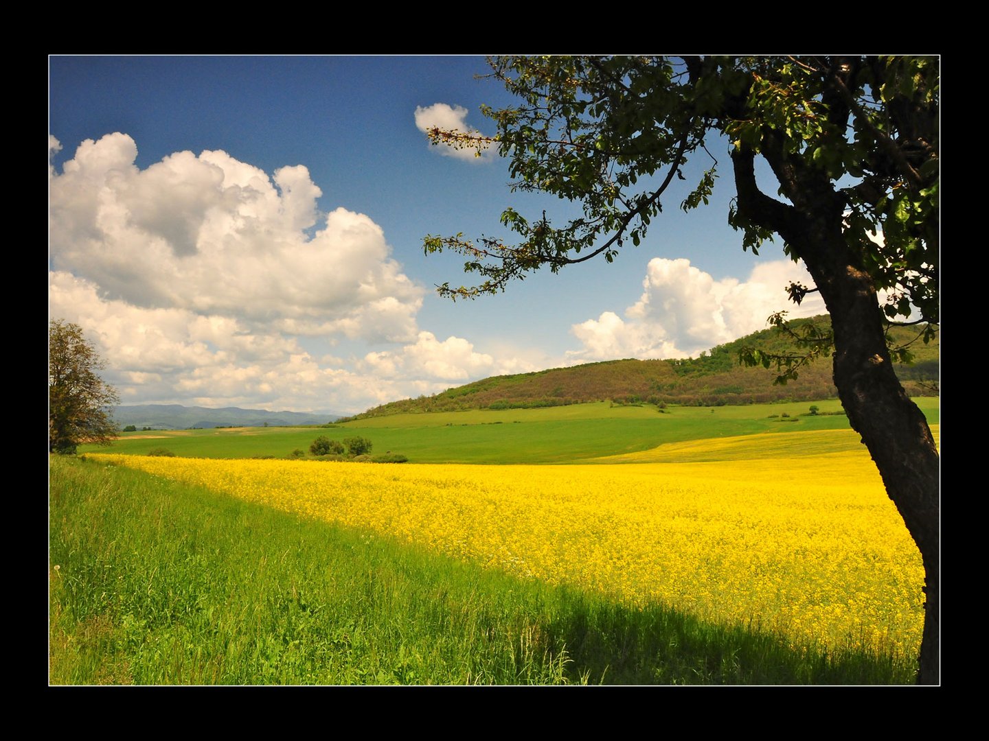 Frühling