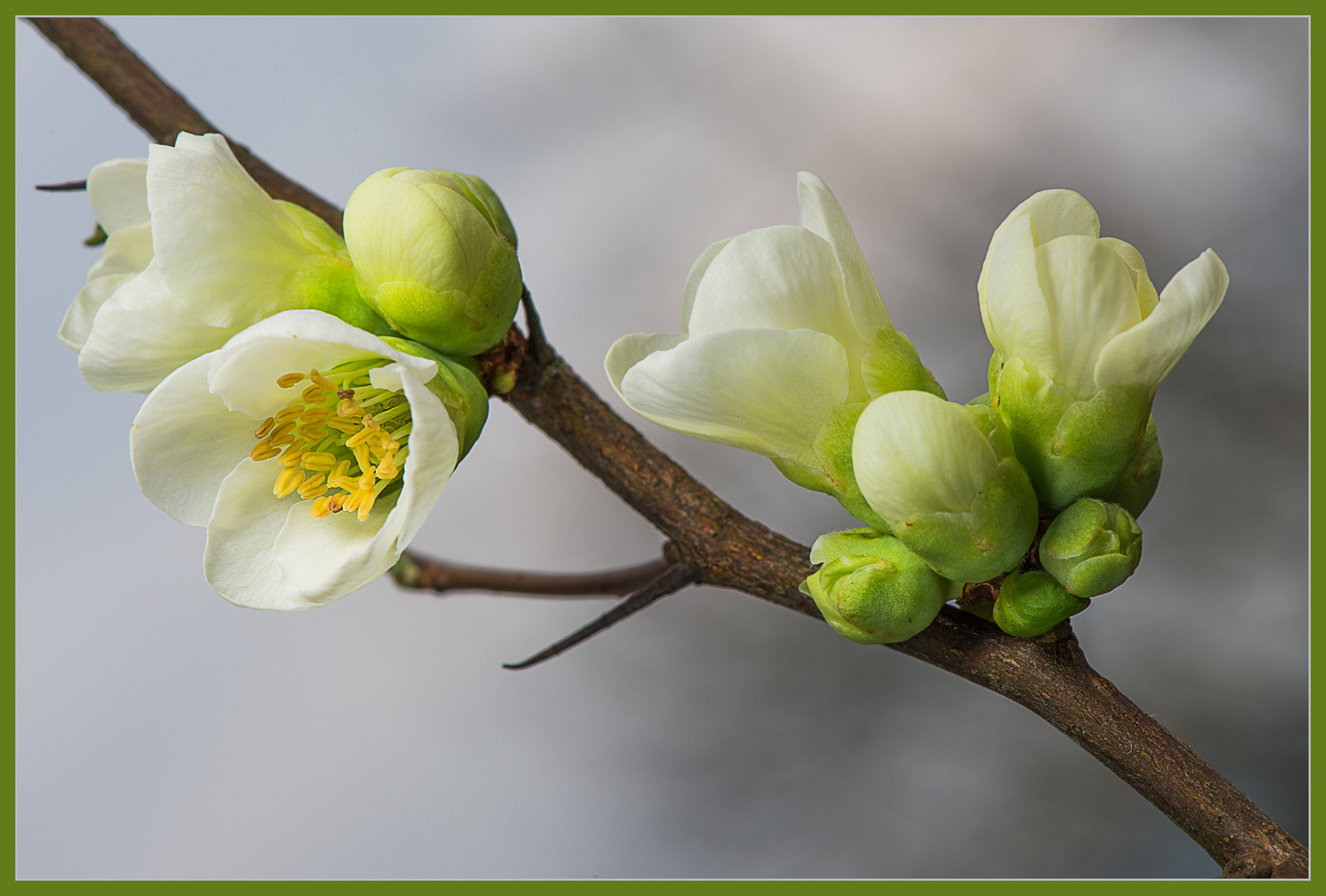 Frühling