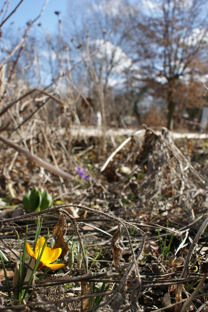 Frühling!