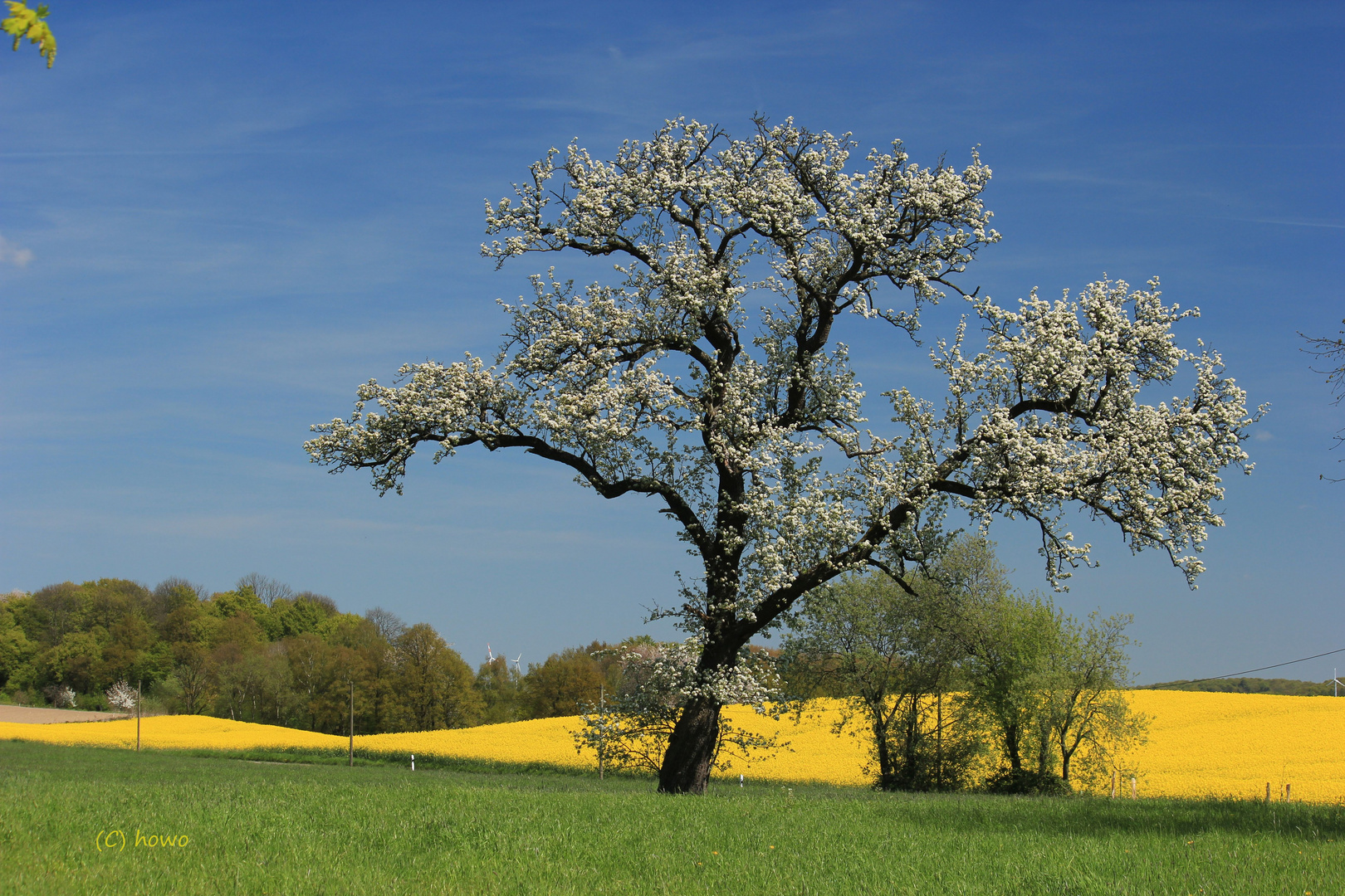 Frühling