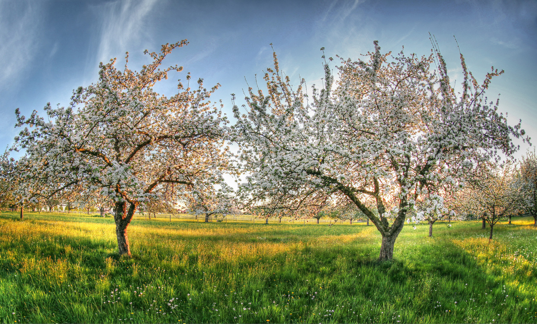 Frühling