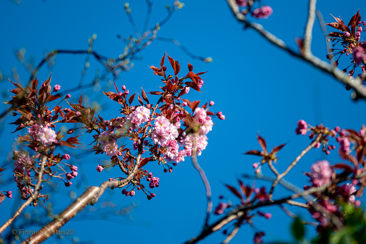 Frühling