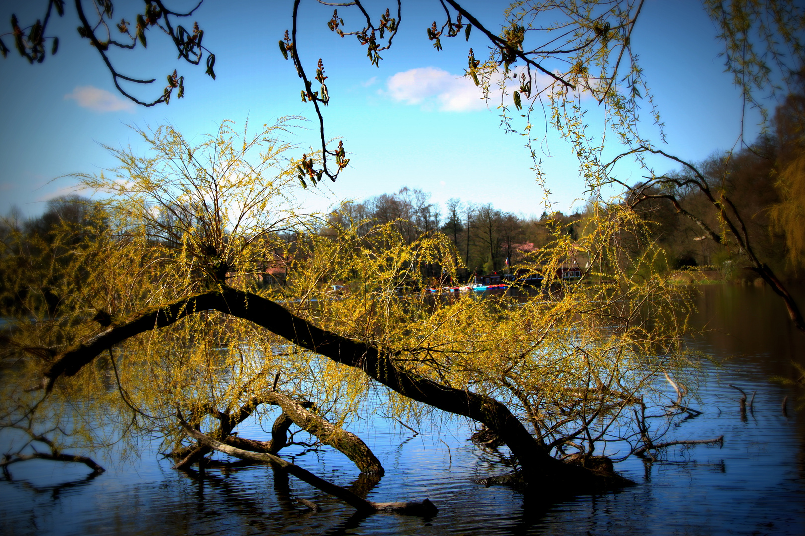 Frühling