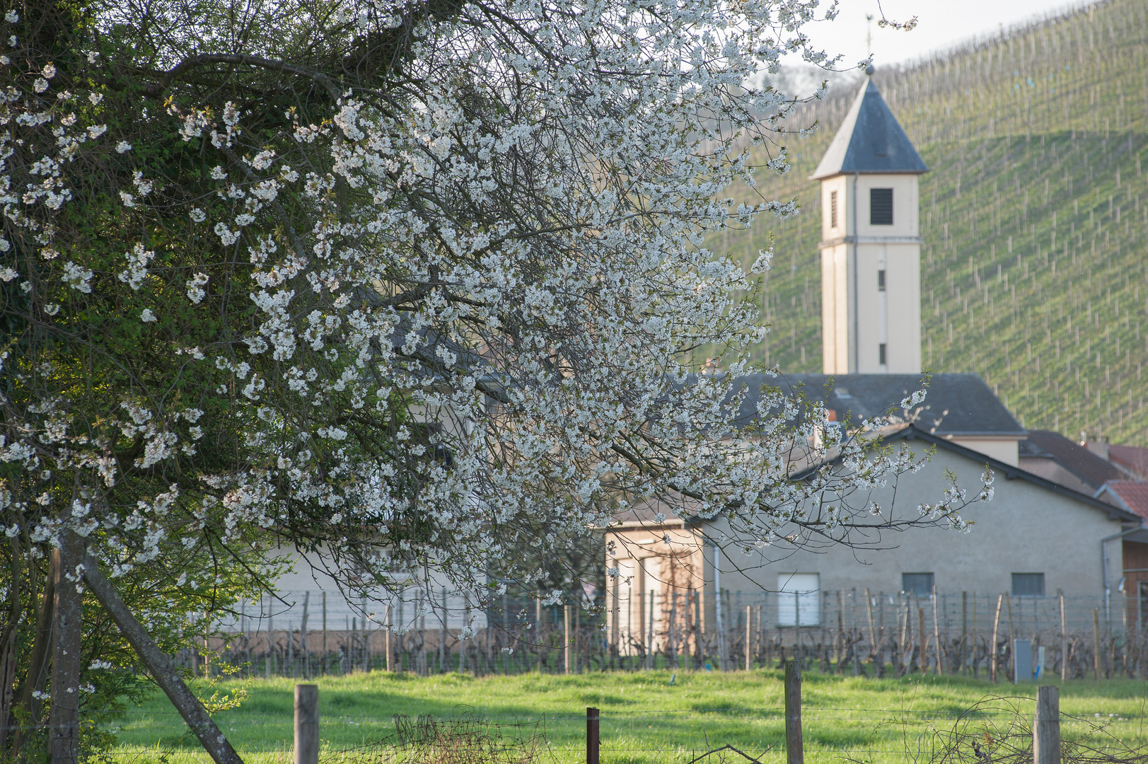 Frühling