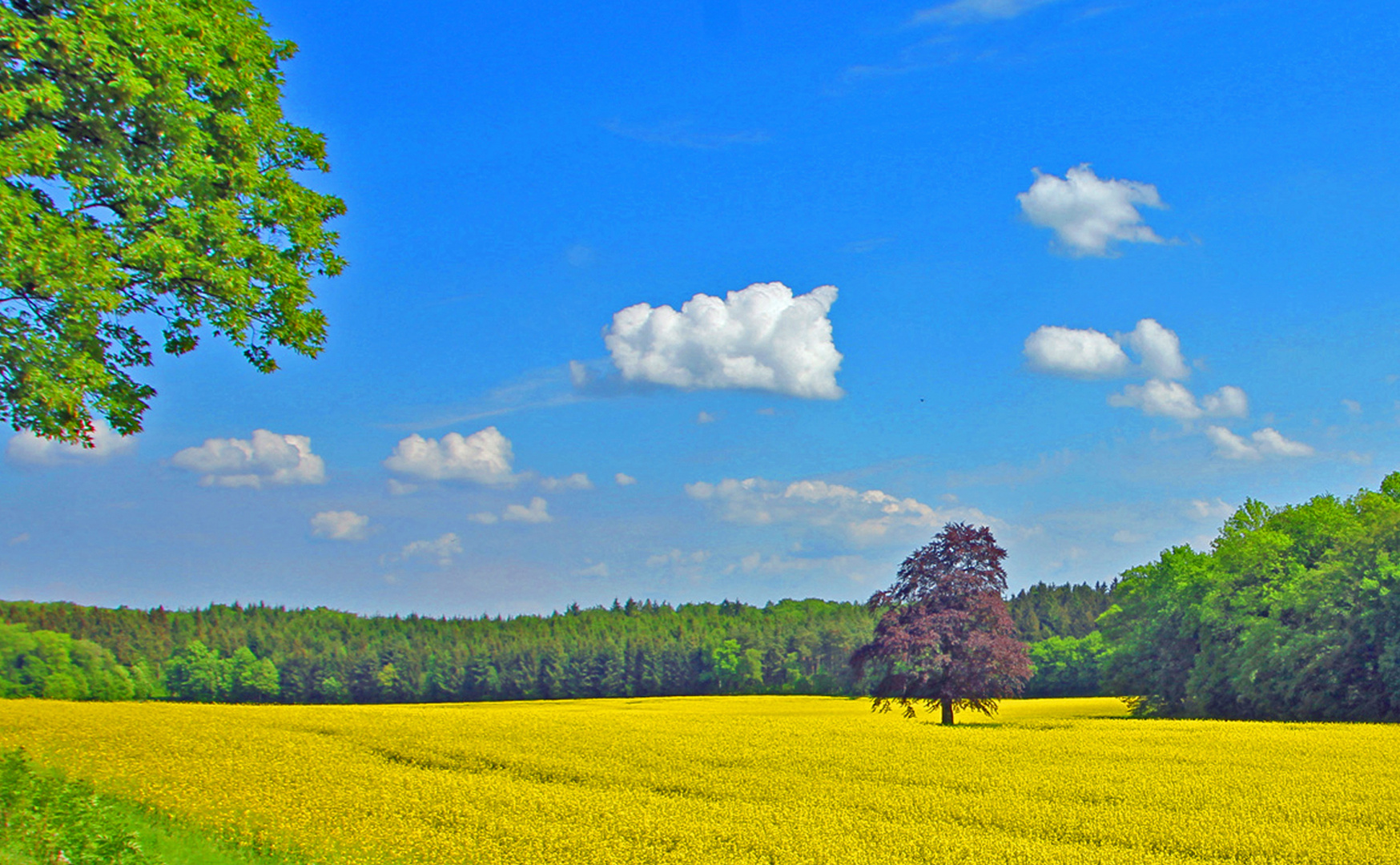 Frühling 1