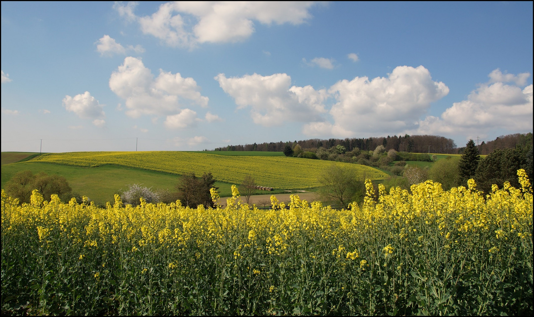 Frühling 1