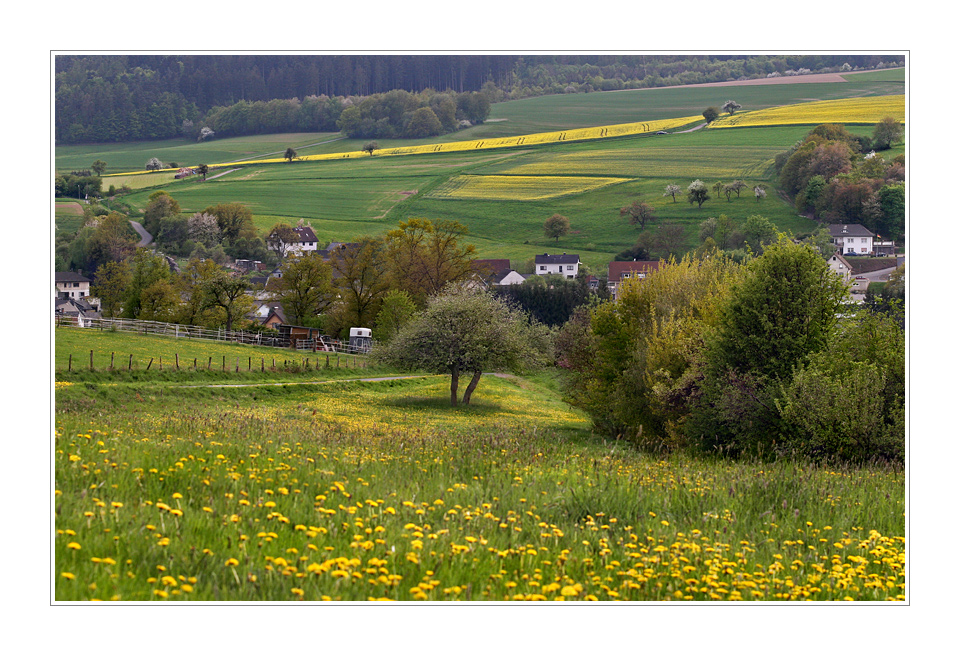 Frühling 1