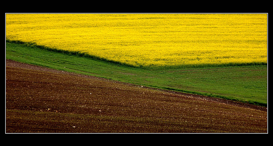 Frühling-1