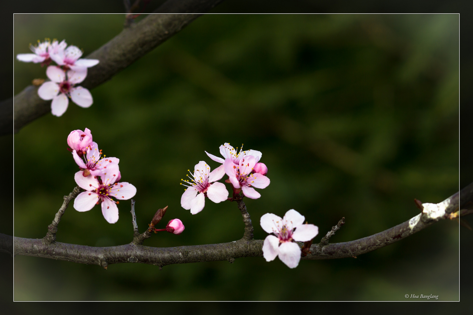 Frühling 1