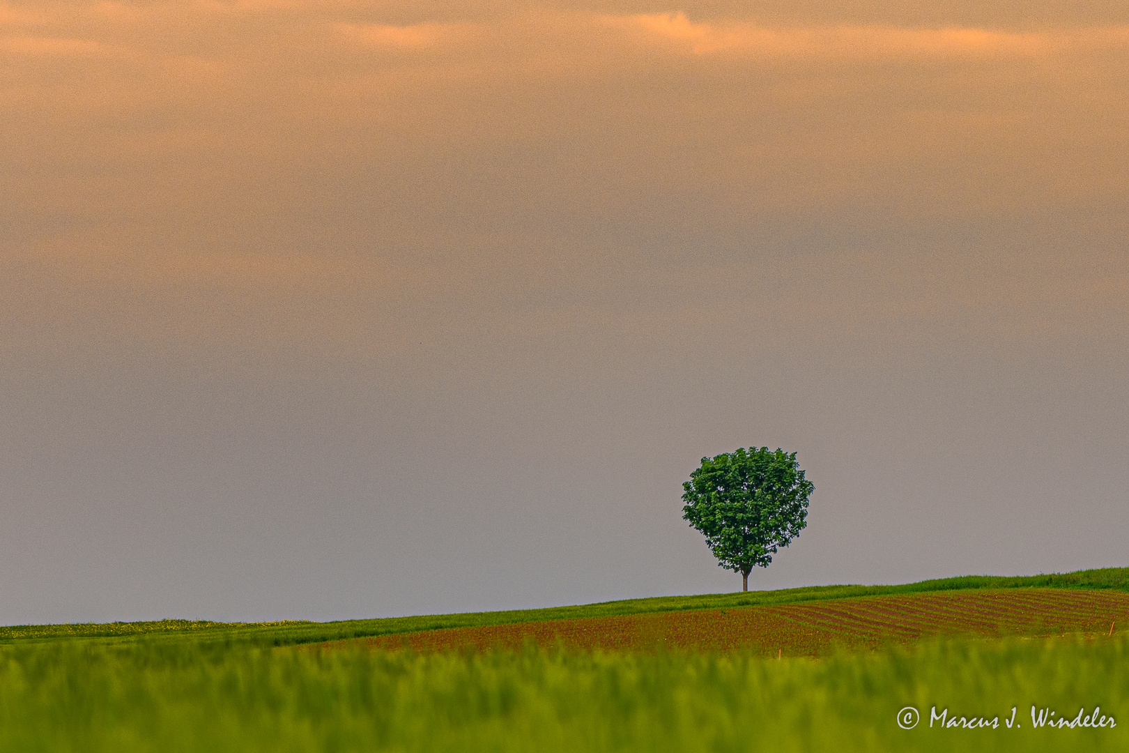 Frühling 1