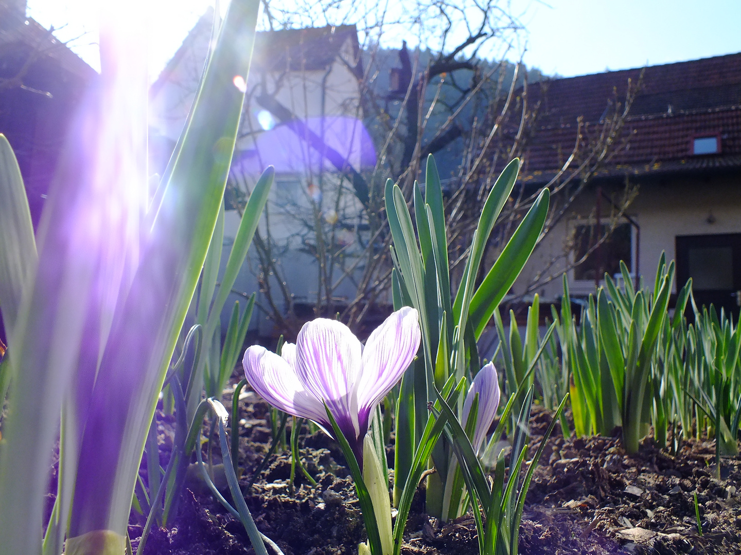 Frühling