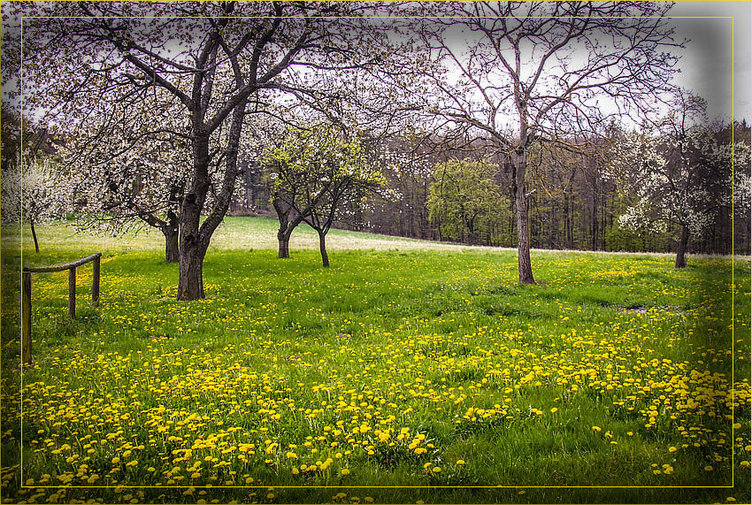 FRÜHLING