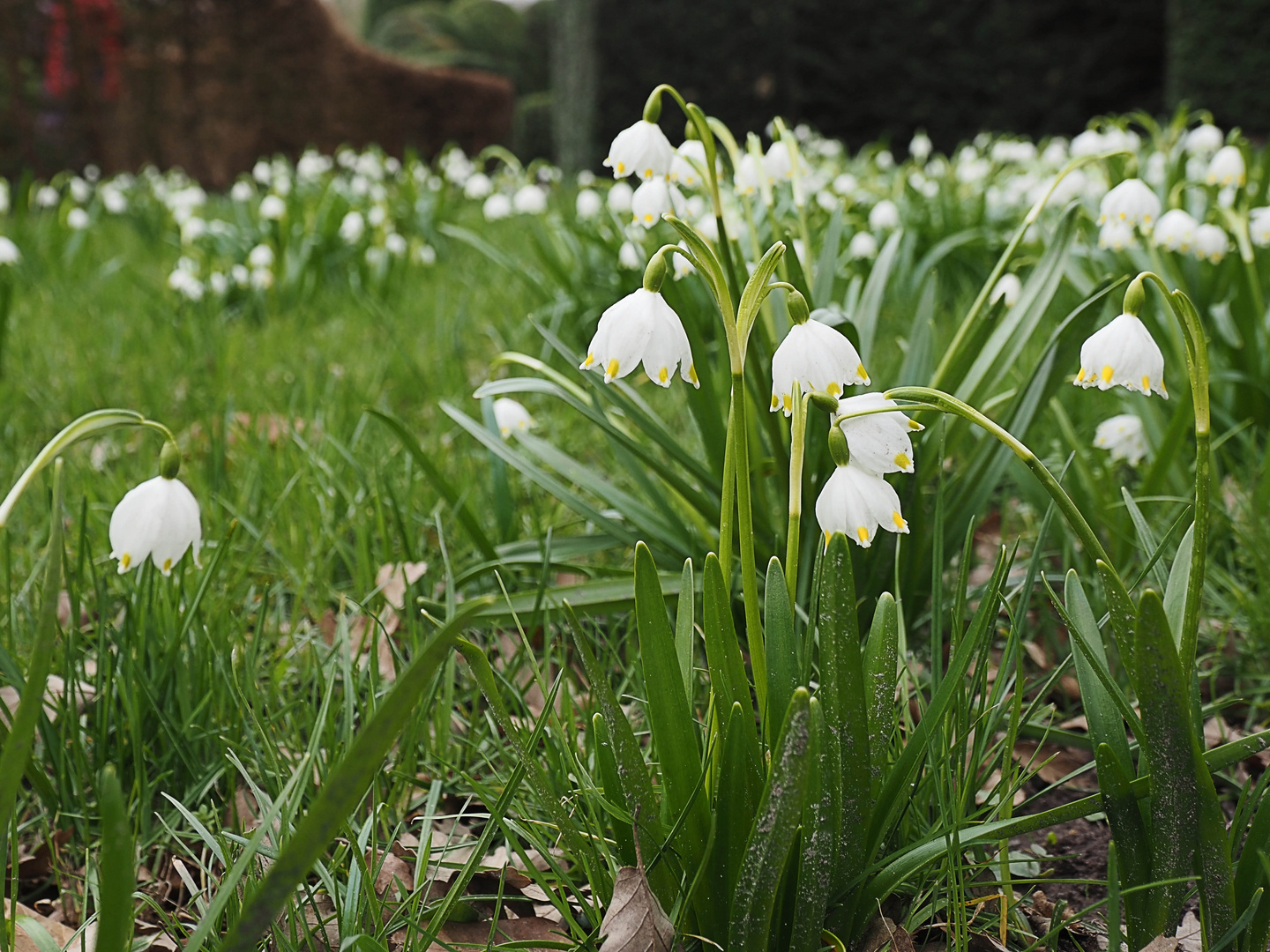 Frühling