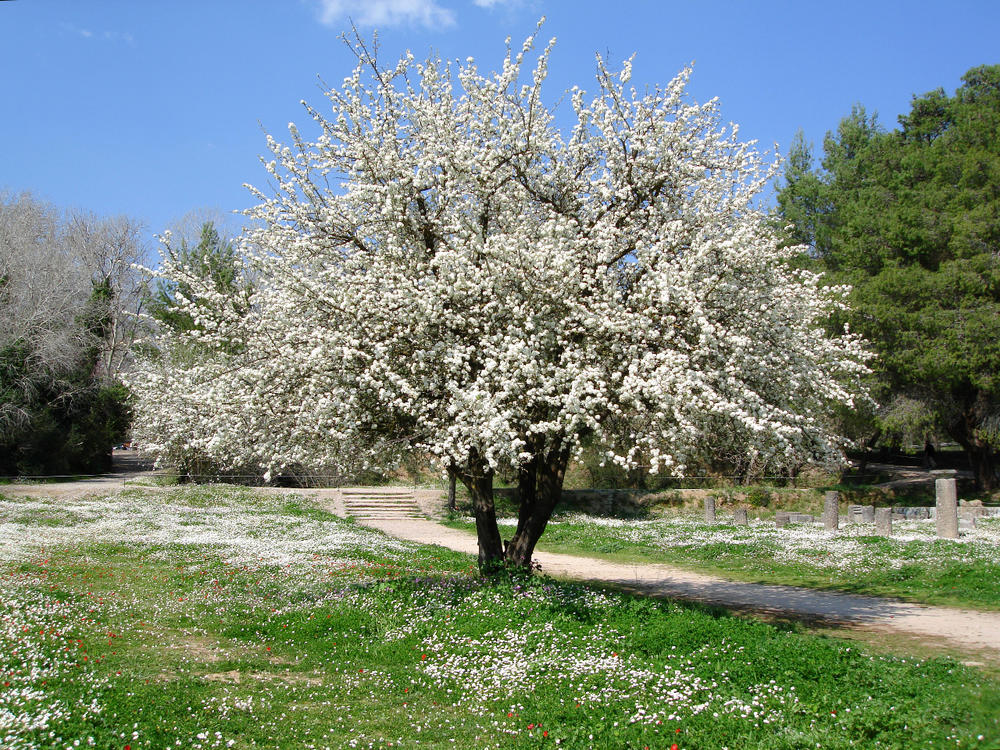 Frühling