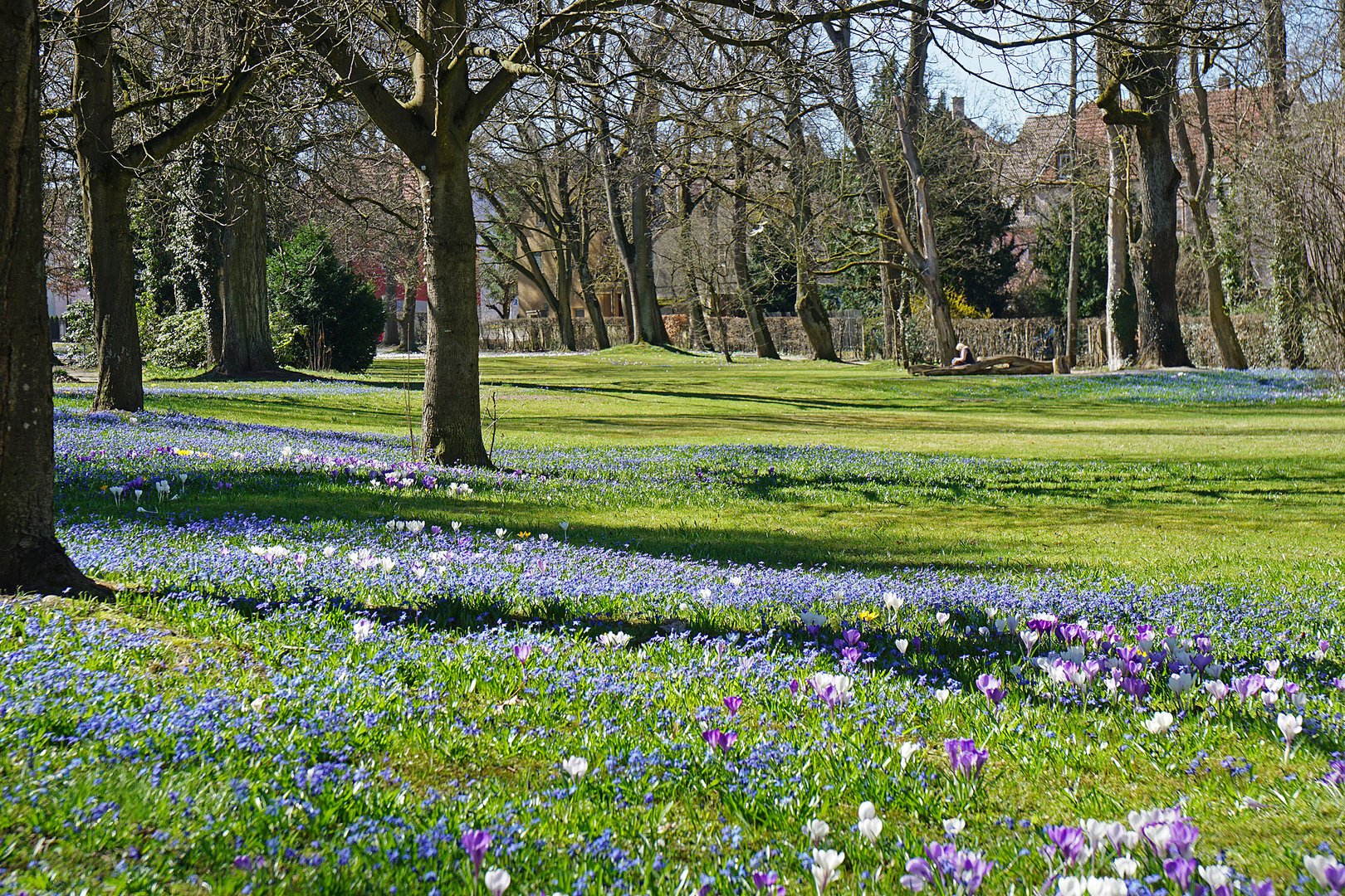 Frühling ...