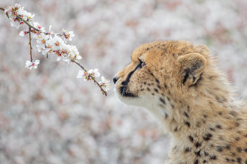 Frühling